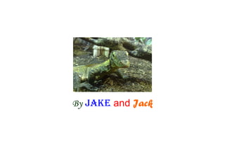 By Jake and Jack
 
