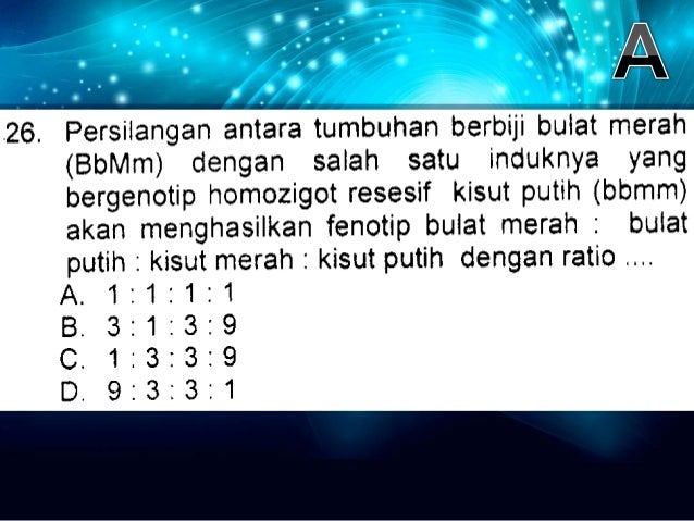 KOMPETISI IPA KLS IX 2012 TINGKAT KECAMATAN