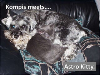 Kompis meets...