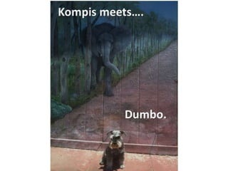 Kompis meets...