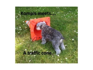 Kompis meets...