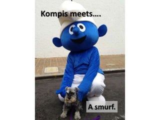 Kompis meets...