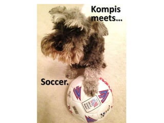 Kompis meets...