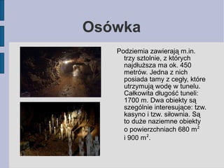 Osówka 
Podziemia zawierają m.in. 
trzy sztolnie, z których 
najdłuższa ma ok. 450 
metrów. Jedna z nich 
posiada tamy z c...