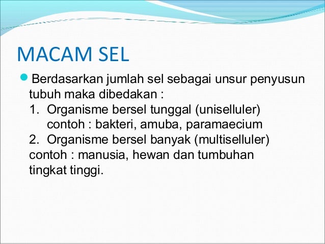 Komponen dan komposisi tubuh manusia