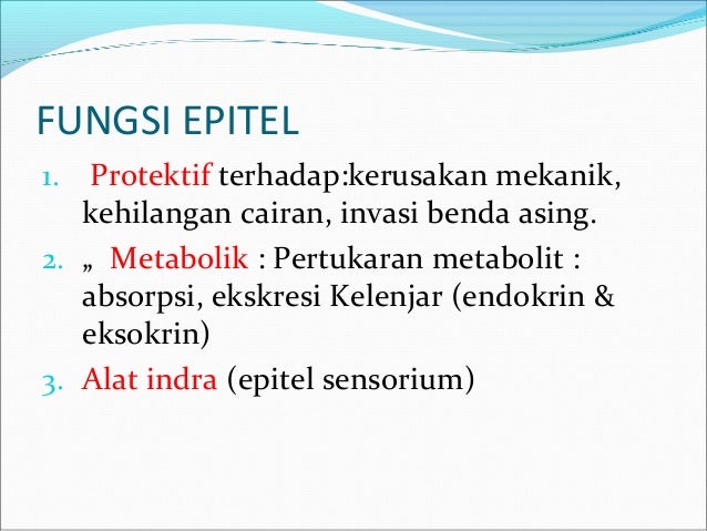 Komponen dan komposisi tubuh manusia