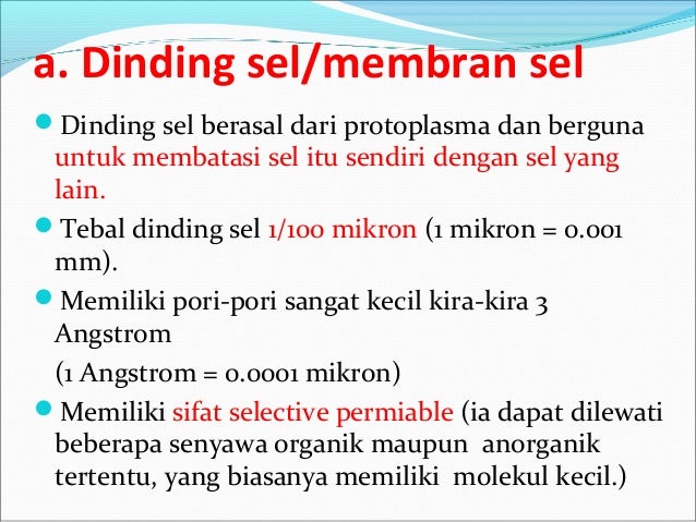 Komponen dan komposisi tubuh manusia