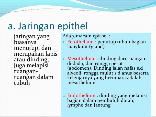 Komponen dan komposisi tubuh manusia