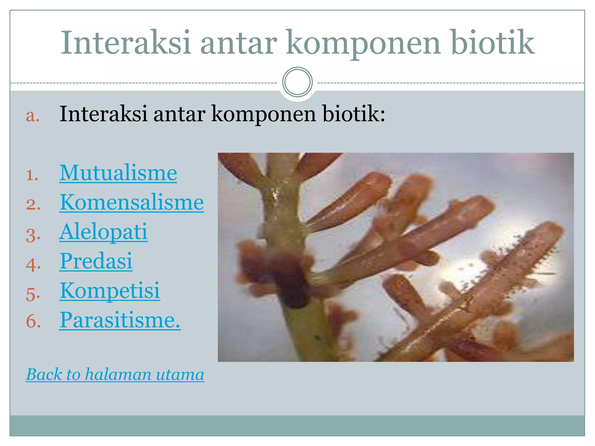 Predasi Komponen dan macam ekosistem | PPTX