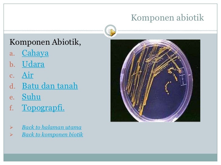 Komponen dan macam ekosistem