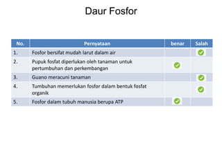 No. Pernyataan benar Salah
1. Fosfor bersifat mudah larut dalam air
2. Pupuk fosfat diperlukan oleh tanaman untuk
pertumbuhan dan perkembangan
3. Guano meracuni tanaman
4. Tumbuhan memerlukan fosfor dalam bentuk fosfat
organik
5. Fosfor dalam tubuh manusia berupa ATP
Daur Fosfor
 