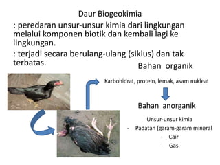 Daur Biogeokimia
: peredaran unsur-unsur kimia dari lingkungan
melalui komponen biotik dan kembali lagi ke
lingkungan.
: terjadi secara berulang-ulang (siklus) dan tak
terbatas. Bahan organik
Bahan anorganik
Karbohidrat, protein, lemak, asam nukleat
Unsur-unsur kimia
- Padatan (garam-garam mineral
- Cair
- Gas
 