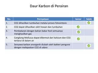 Daur Karbon di Perairan
No. Pernyataan benar Salah
1. CO2 dihasilkan tumbuhan melalui proses fotosintesis
2. CO2 dapat dihasilkan oleh hewan dan tumbuhan
3. Pembakaran dengan bahan bakar fosil semuanya
menghasilkan gas
4. Cangkang Mollusca dapat dibentuk dari kalsium dan CO2
terlarut di dalam air
5. Senyawa karbon anorganik diubah oleh bakteri pengurai
dengan melepaskan CO2 di udara
 