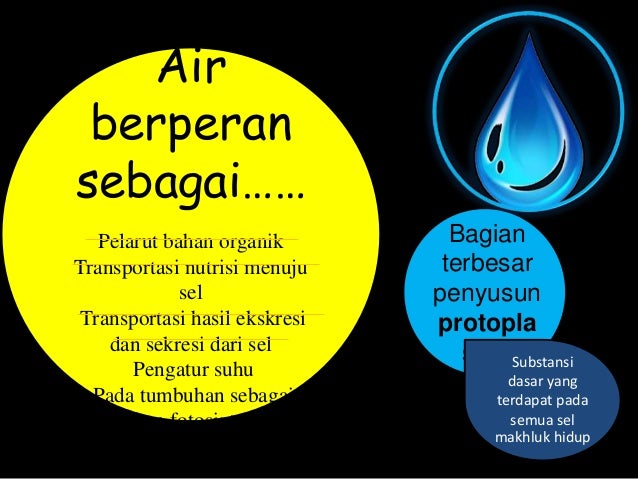 Komponen Kimiawi Penyusun Sel
