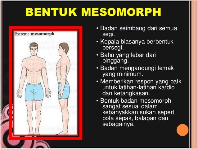 Komposisi Tubuh Badan