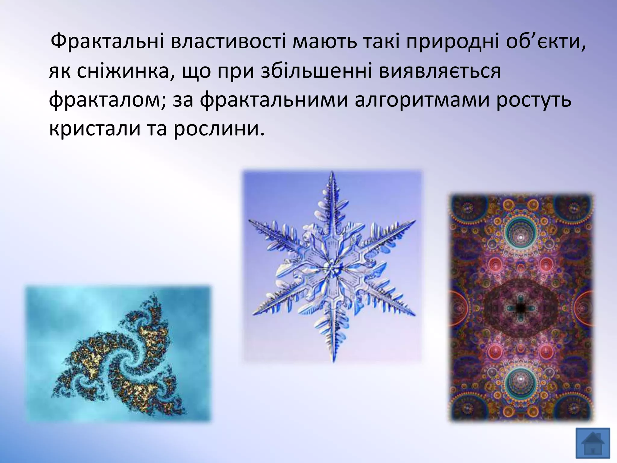 Фрактальні властивості мають такі природні об’єкти,
як сніжинка, що при збільшенні виявляється
фракталом; за фрактальними алгоритмами ростуть
кристали та рослини.
 