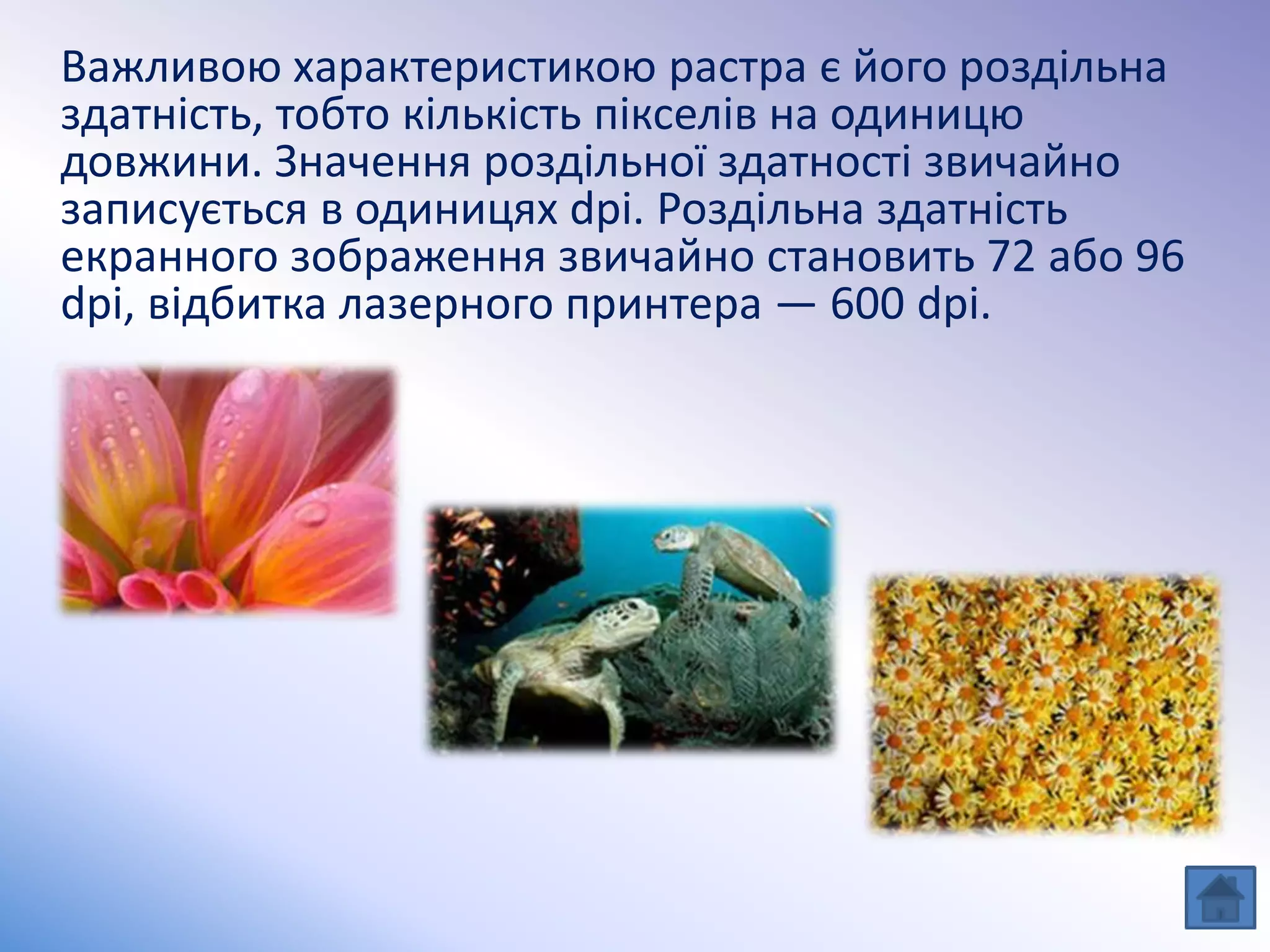 Важливою характеристикою растра є його роздільна
здатність, тобто кількість пікселів на одиницю
довжини. Значення роздільної здатності звичайно
записується в одиницях dpi. Роздільна здатність
екранного зображення звичайно становить 72 або 96
dpi, відбитка лазерного принтера — 600 dpi.
 