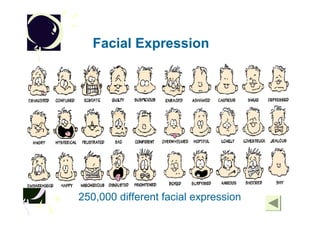 Facial Expression




250,000 different facial expression
 