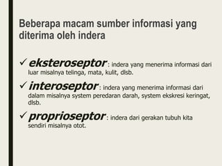 Beberapa macam sumber informasi yang
diterima oleh indera
eksteroseptor : indera yang menerima informasi dari
luar misalnya telinga, mata, kulit, dlsb.
interoseptor : indera yang menerima informasi dari
dalam misalnya system peredaran darah, system ekskresi keringat,
dlsb.
proprioseptor : indera dari gerakan tubuh kita
sendiri misalnya otot.
 