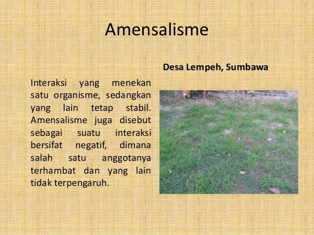 Komunitas (Hubungan Antar Sesama Makhluk Hidup)