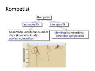 Kompetisi 
 