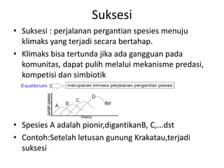 Suksesi 
• Suksesi : perjalanan pergantian spesies menuju 
klimaks yang terjadi secara bertahap. 
• Klimaks bisa tertunda jika ada gangguan pada 
komunitas, dapat pulih melalui mekanisme predasi, 
kompetisi dan simbiotik 
• Spesies A adalah pionir,digantikanB, C,...dst 
• Contoh:Setelah letusan gunung Krakatau,terjadi 
suksesi 
 