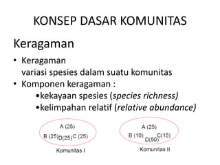 KONSEP DASAR KOMUNITAS 
Keragaman 
• Keragaman 
variasi spesies dalam suatu komunitas 
• Komponen keragaman : 
•kekayaan spesies (species richness) 
•kelimpahan relatif (relative abundance) 
 