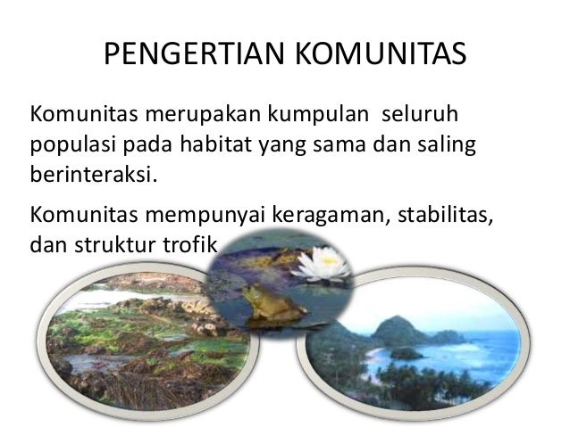 Komunitas