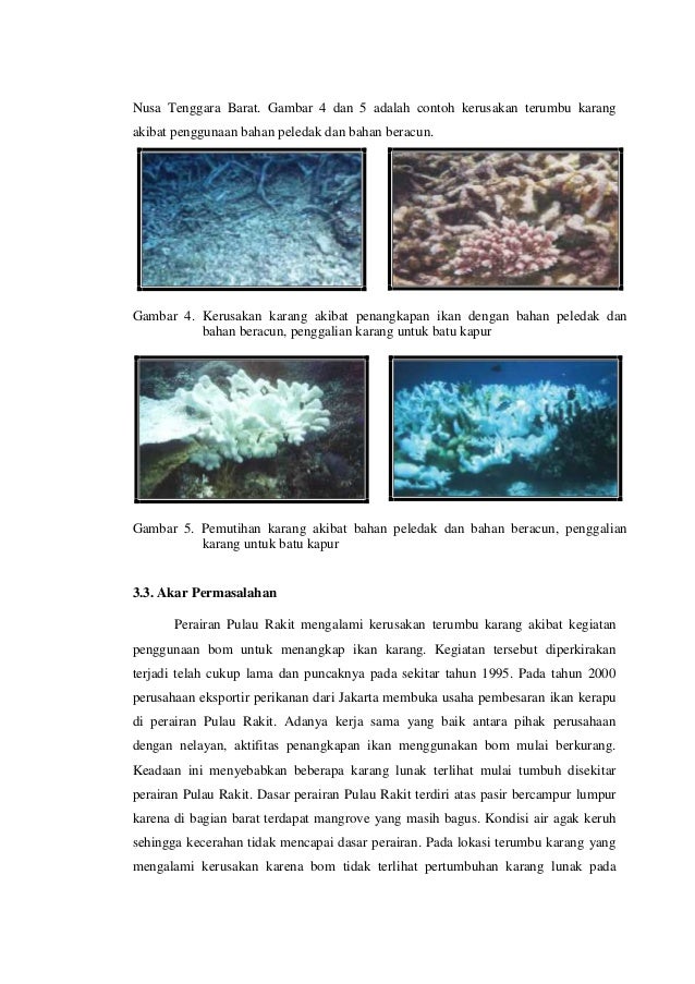 Paper Vertion: Kondisi Ekosistem Terumbu Karang Serta 