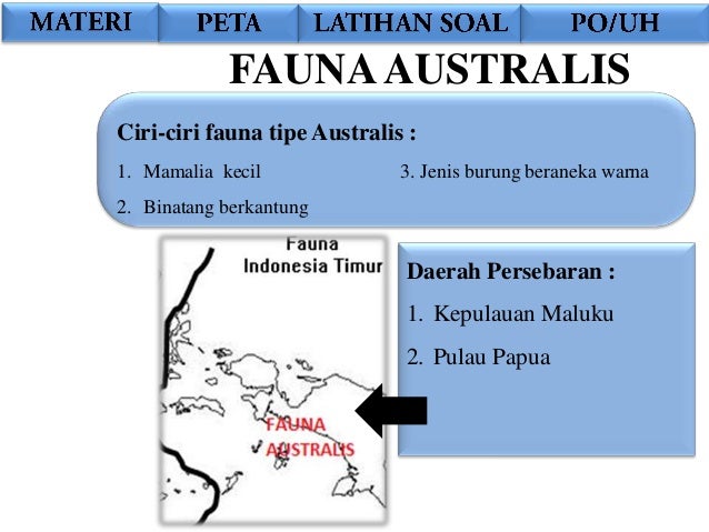 Kondisi geografis dan penduduk