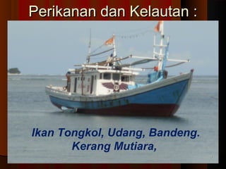 PPeerriikkaannaann ddaann KKeellaauuttaann :: 
1177 
Ikan Tongkol, Udang, Bandeng. 
Kerang Mutiara, 
 