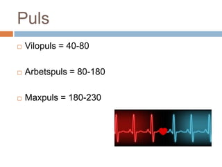 Puls Vilopuls = 40-80 Arbetspuls = 80-180 Maxpuls = 180-230 