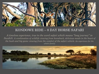 KONDOWE RIDE – 8 DAY HORSE SAFARI
A timeless experience, true to the word safari which means “long journey” in
Swahili. A combination of wildlife viewing from horseback, delicious meals in the heart of
the bush and big game viewing from the comfort of the safari vehicle. An experience for the
whole family

 