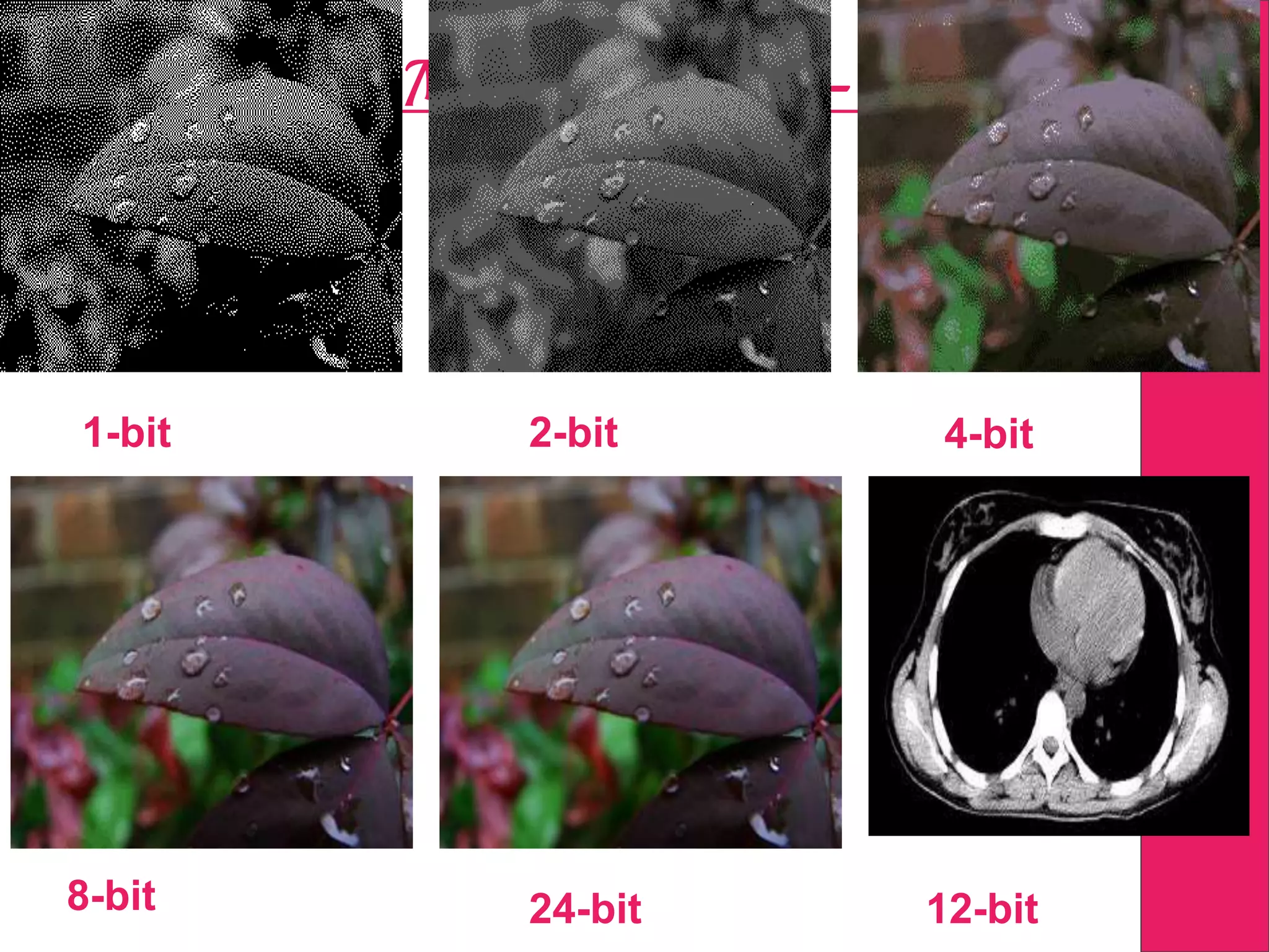 Digital Medical Imaging - contd...
1-bit 2-bit 4-bit
8-bit 24-bit 12-bit
 