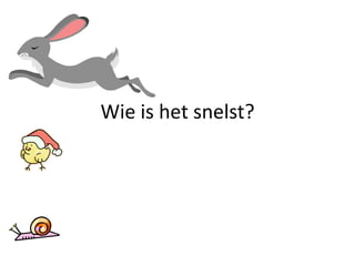 Wie is het snelst?
 