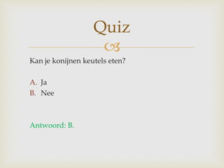 
Kan je konijnen keutels eten?
A. Ja
B. Nee
Antwoord: B.
Quiz
 