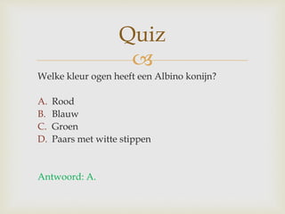 
Welke kleur ogen heeft een Albino konijn?
A. Rood
B. Blauw
C. Groen
D. Paars met witte stippen
Antwoord: A.
Quiz
 