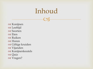
 Konijnen
 Leeftijd
 Soorten
 Eten
 Ruiken
 Horen
 Giftige kruiden
 Vijanden
 Konijnenkeutels
 Quiz
 Vragen?
Inhoud
 