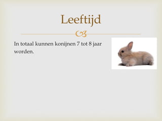 
In totaal kunnen konijnen 7 tot 8 jaar
worden.
Leeftijd
 