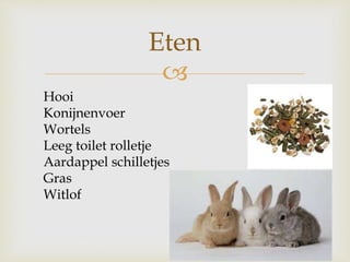 
Eten
Hooi
Konijnenvoer
Wortels
Leeg toilet rolletje
Aardappel schilletjes
Gras
Witlof
 