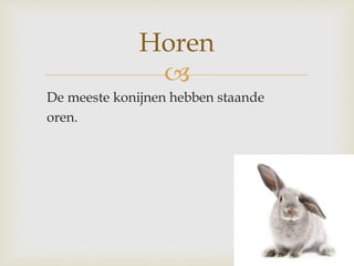 
De meeste konijnen hebben staande
oren.
Horen
 