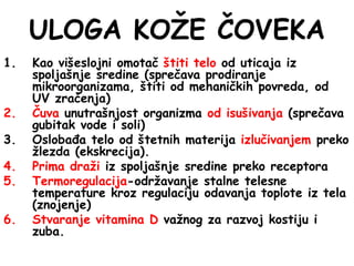 ULOGA KOŽE ČOVEKA
1. Kao višeslojni omotač štiti telo od uticaja iz
spoljašnje sredine (sprečava prodiranje
mikroorganizama, štiti od mehaničkih povreda, od
UV zračenja)
2. Čuva unutrašnjost organizma od isušivanja (sprečava
gubitak vode i soli)
3. Oslobađa telo od štetnih materija izlučivanjem preko
žlezda (ekskrecija).
4. Prima draži iz spoljašnje sredine preko receptora
5. Termoregulacija-održavanje stalne telesne
temperature kroz regulaciju odavanja toplote iz tela
(znojenje)
6. Stvaranje vitamina D važnog za razvoj kostiju i
zuba.
 