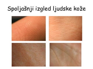 Spoljašnji izgled ljudske kože
 