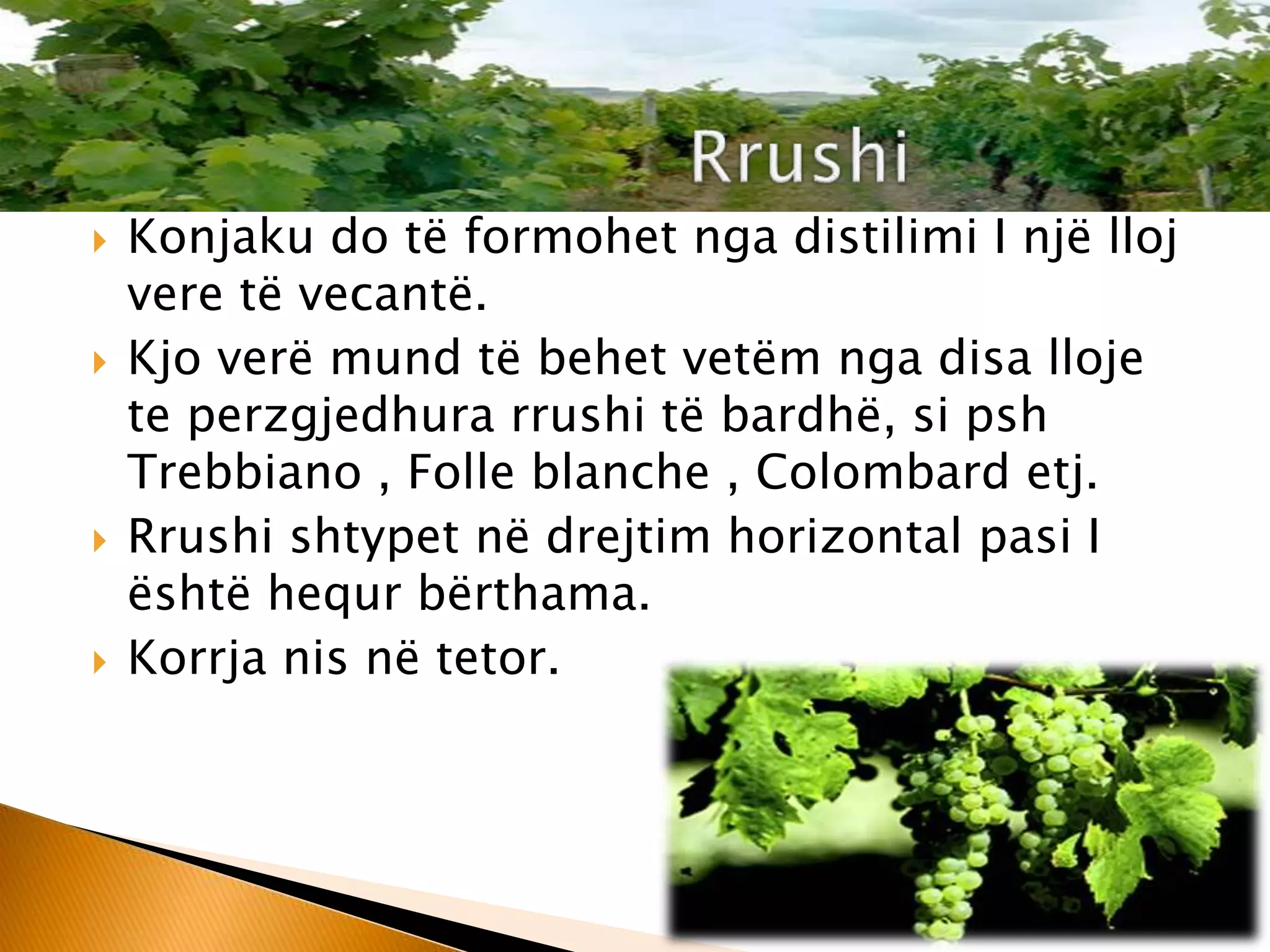 Konjaku Cognac | PPTX