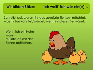 Wir bilden Sätze: Ich wollt‘ ich wär ein(e)…
Schreibt auf, warum ihr das gezeigte Tier sein möchtet,
was ihr tun könntet/würdet, wenn ihr dieses Tier wäret.
Wenn ich ein Huhn
wäre…,
müsste ich mit der
Sonne aufstehen.
 
