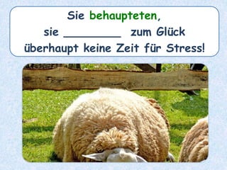 Sie behaupteten,
sie ________ zum Glück
überhaupt keine Zeit für Stress!
 