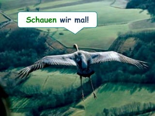 Schauen wir mal!
 