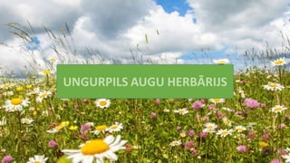 Konkursa apkopojuma prezentācija 2021