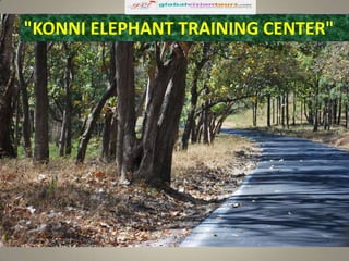 "KONNI ELEPHANT TRAINING CENTER"

 