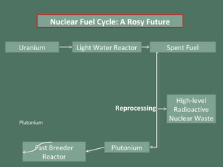 Light Water Reactor Spent Fuel High-level Radioactive Nuclear Waste Plutonium Fast Breeder Reactor Plutonium Reprocessing Uranium Nuclear Fuel Cycle: A Rosy Future 